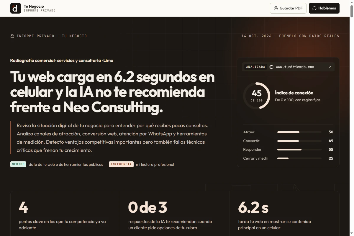 Muestra de informe privado de auditoría técnica y comercial desarrollado por David Silva